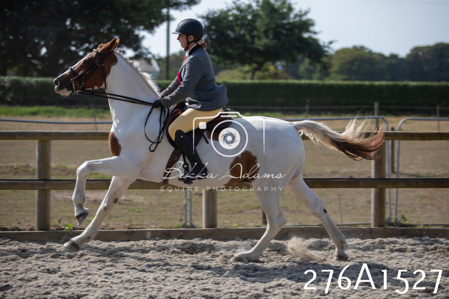 Home Farm Annual Show 2025 - Ridden Pt 1