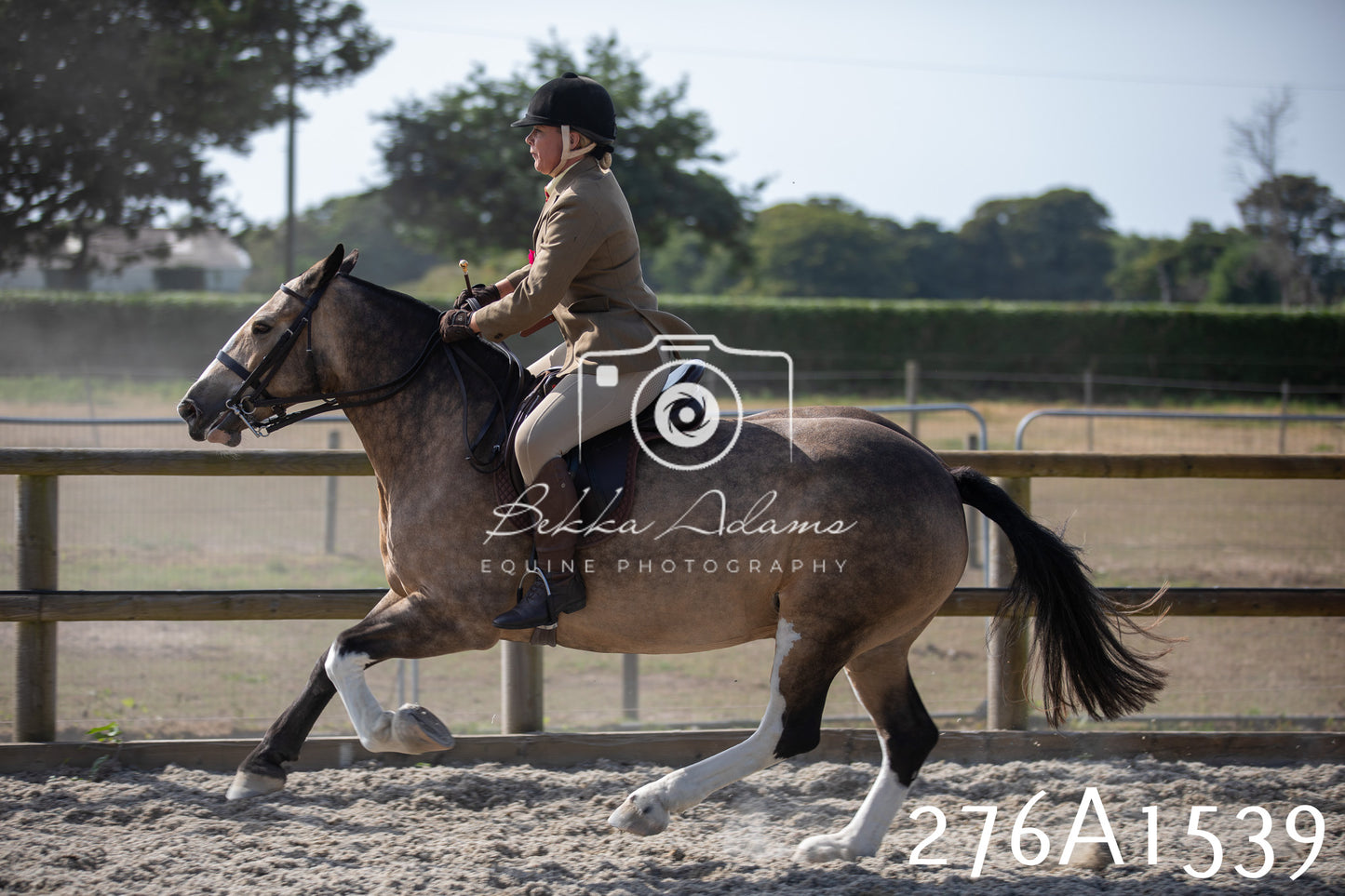 Home Farm Annual Show 2025 - Ridden Pt 1
