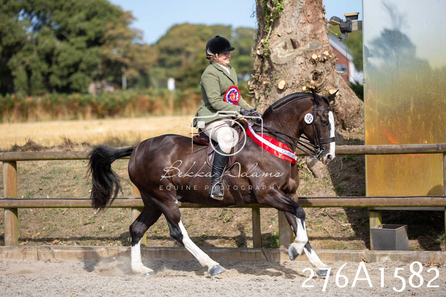 Home Farm Annual Show 2025 - Ridden Pt 1