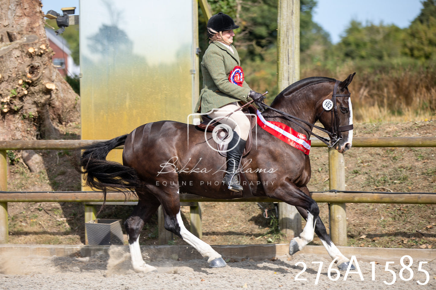 Home Farm Annual Show 2025 - Ridden Pt 1