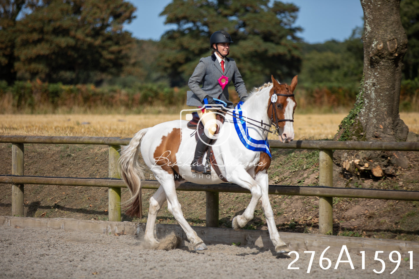 Home Farm Annual Show 2025 - Ridden Pt 1