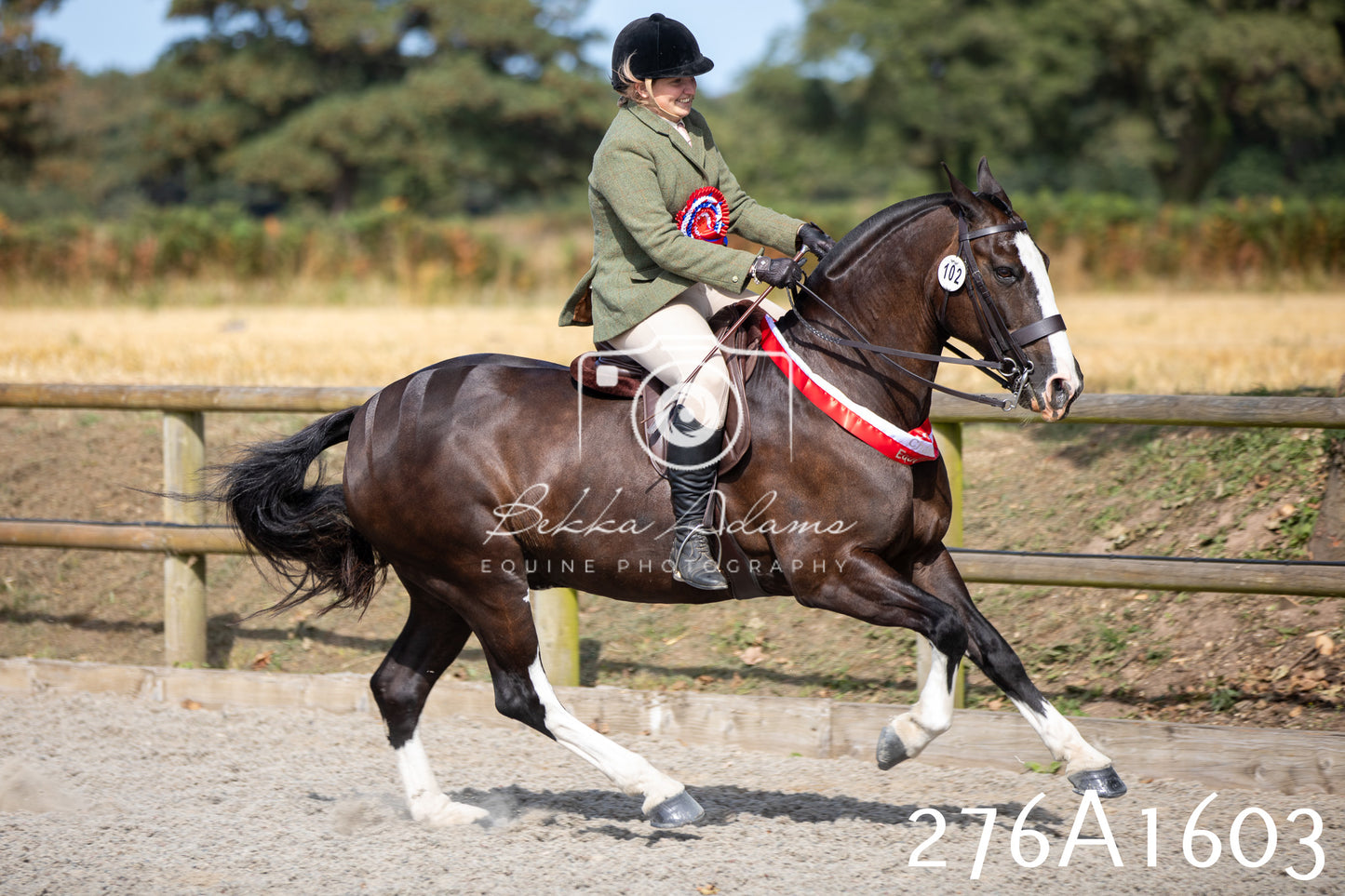 Home Farm Annual Show 2025 - Ridden Pt 1