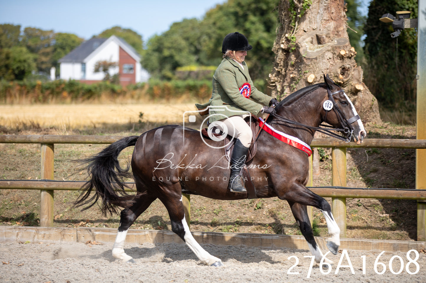 Home Farm Annual Show 2025 - Ridden Pt 1