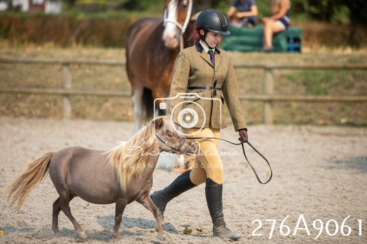 Home Farm Annual Show 2025 - Inhand Pt 1