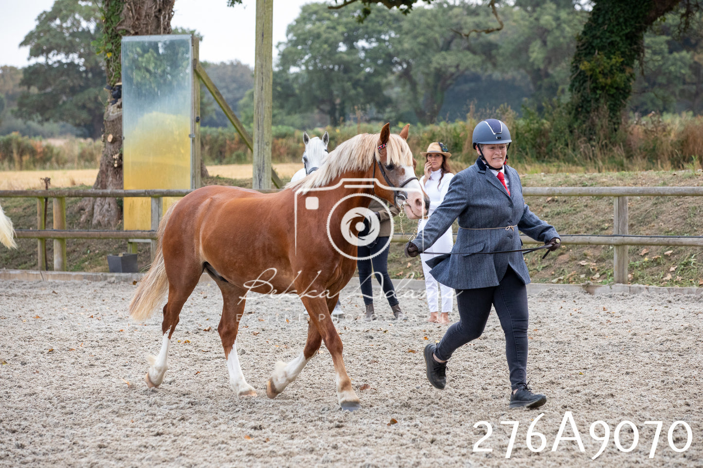 Home Farm Annual Show 2025 - Inhand Pt 1