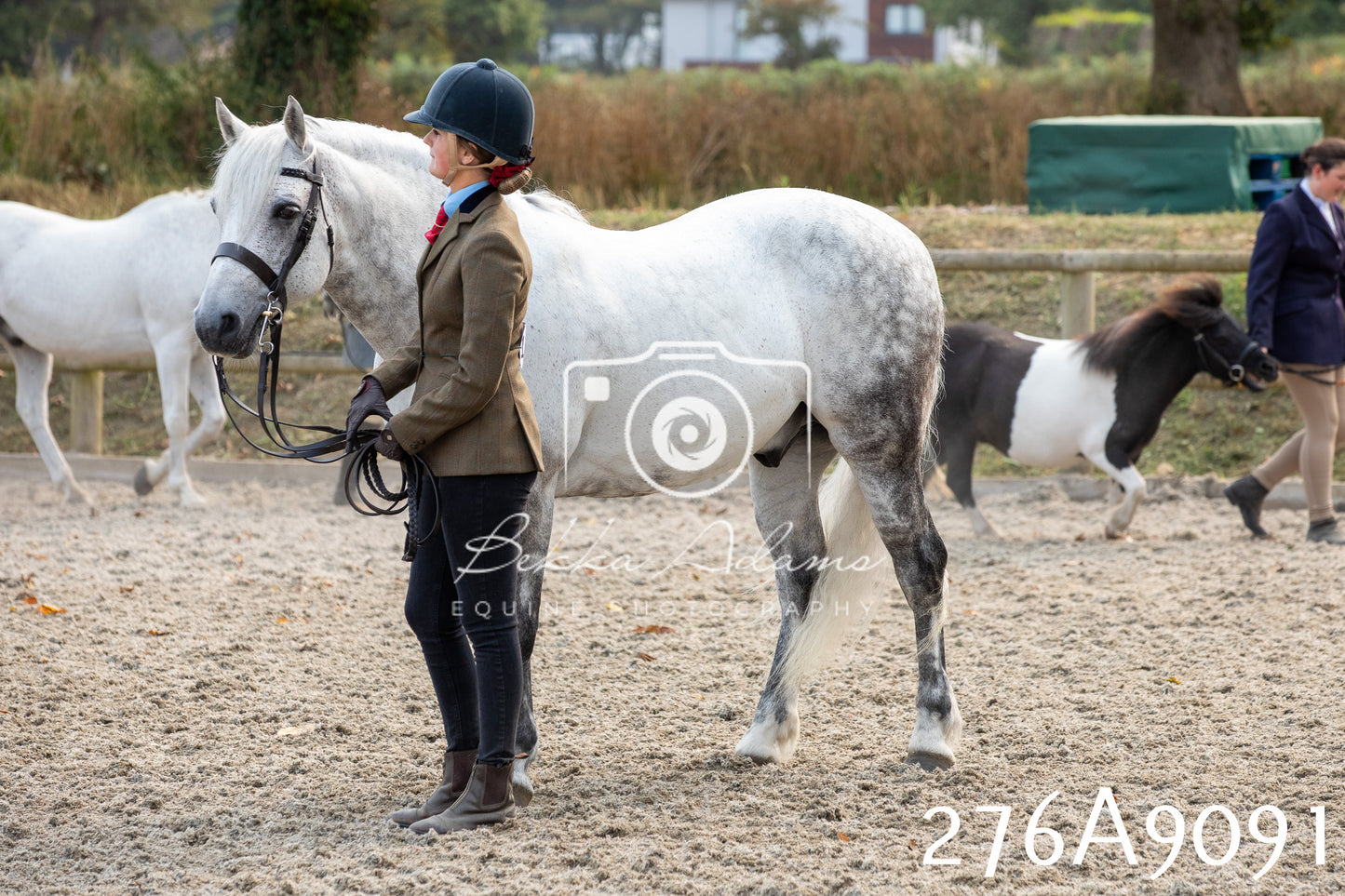 Home Farm Annual Show 2025 - Inhand Pt 1