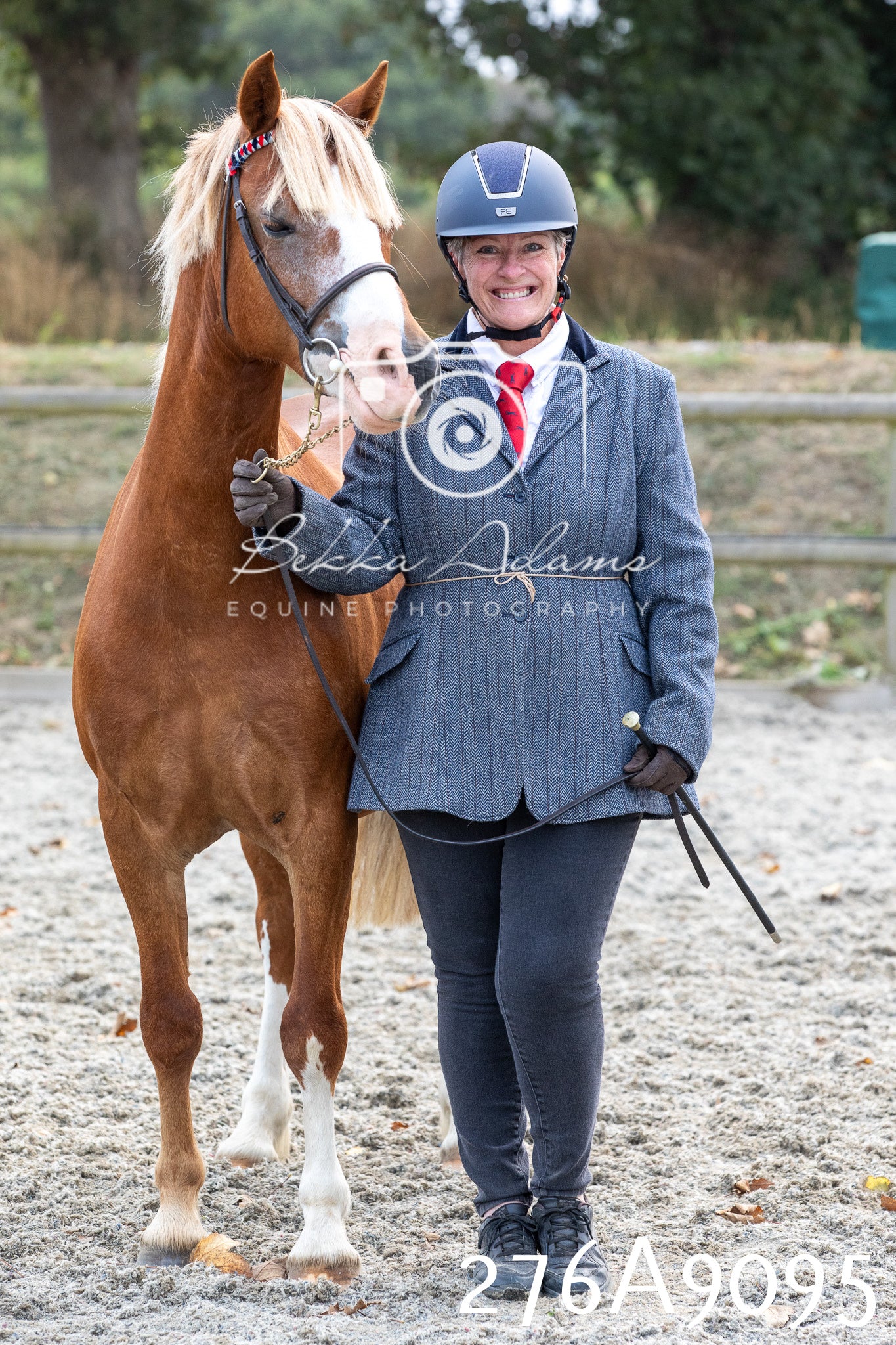 Home Farm Annual Show 2025 - Inhand Pt 1