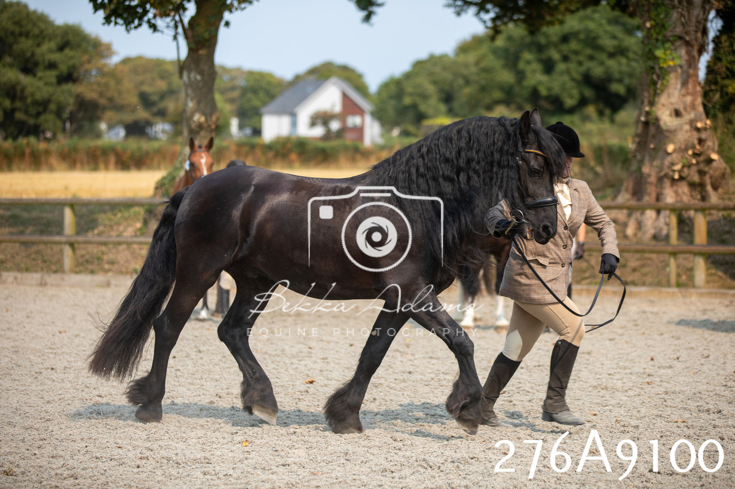 Home Farm Annual Show 2025 - Inhand Pt 1