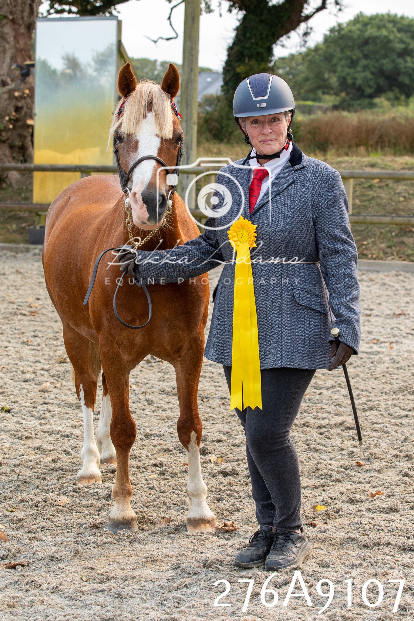 Home Farm Annual Show 2025 - Inhand Pt 1
