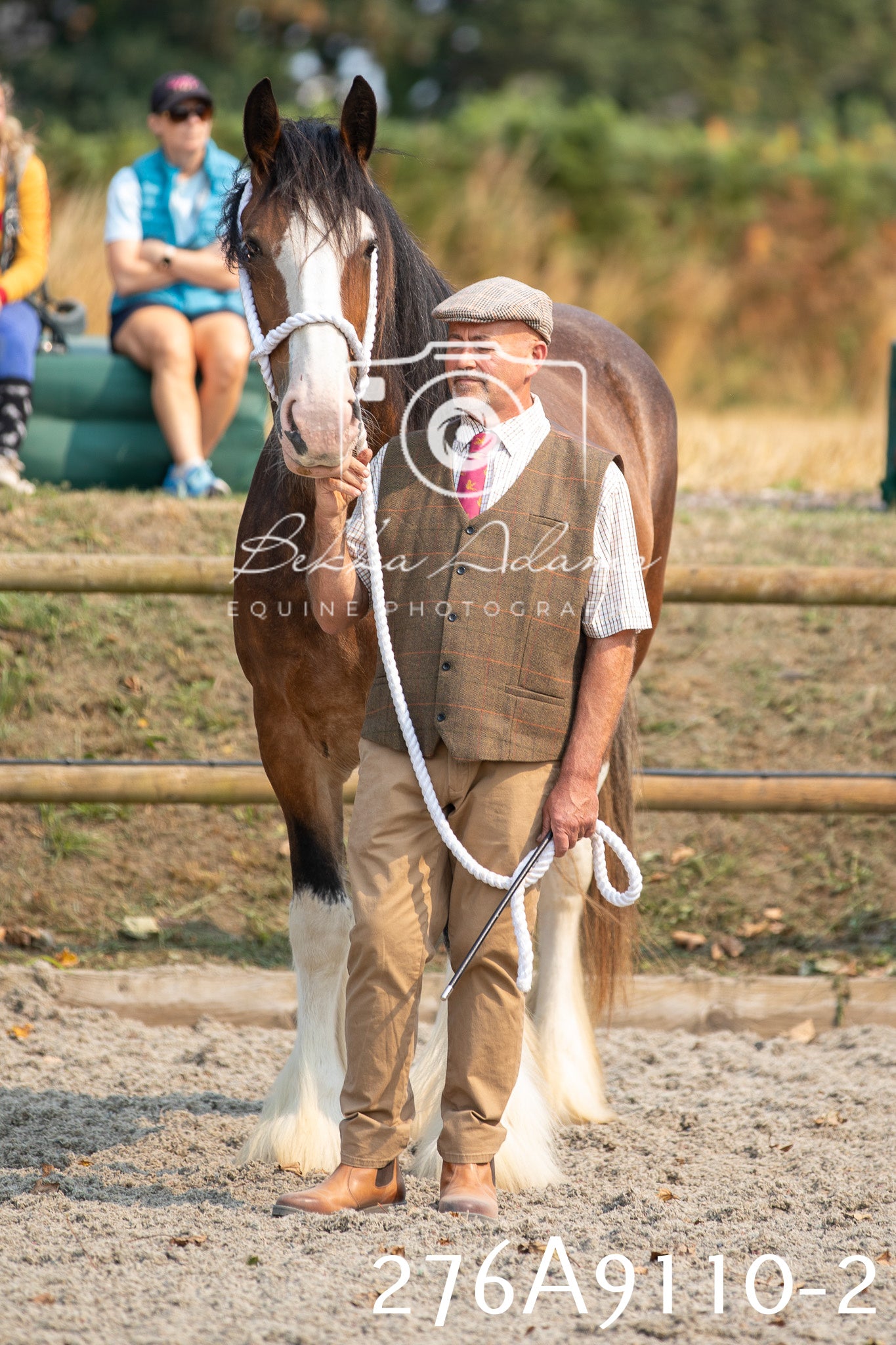 Home Farm Annual Show 2025 - Inhand Pt 1