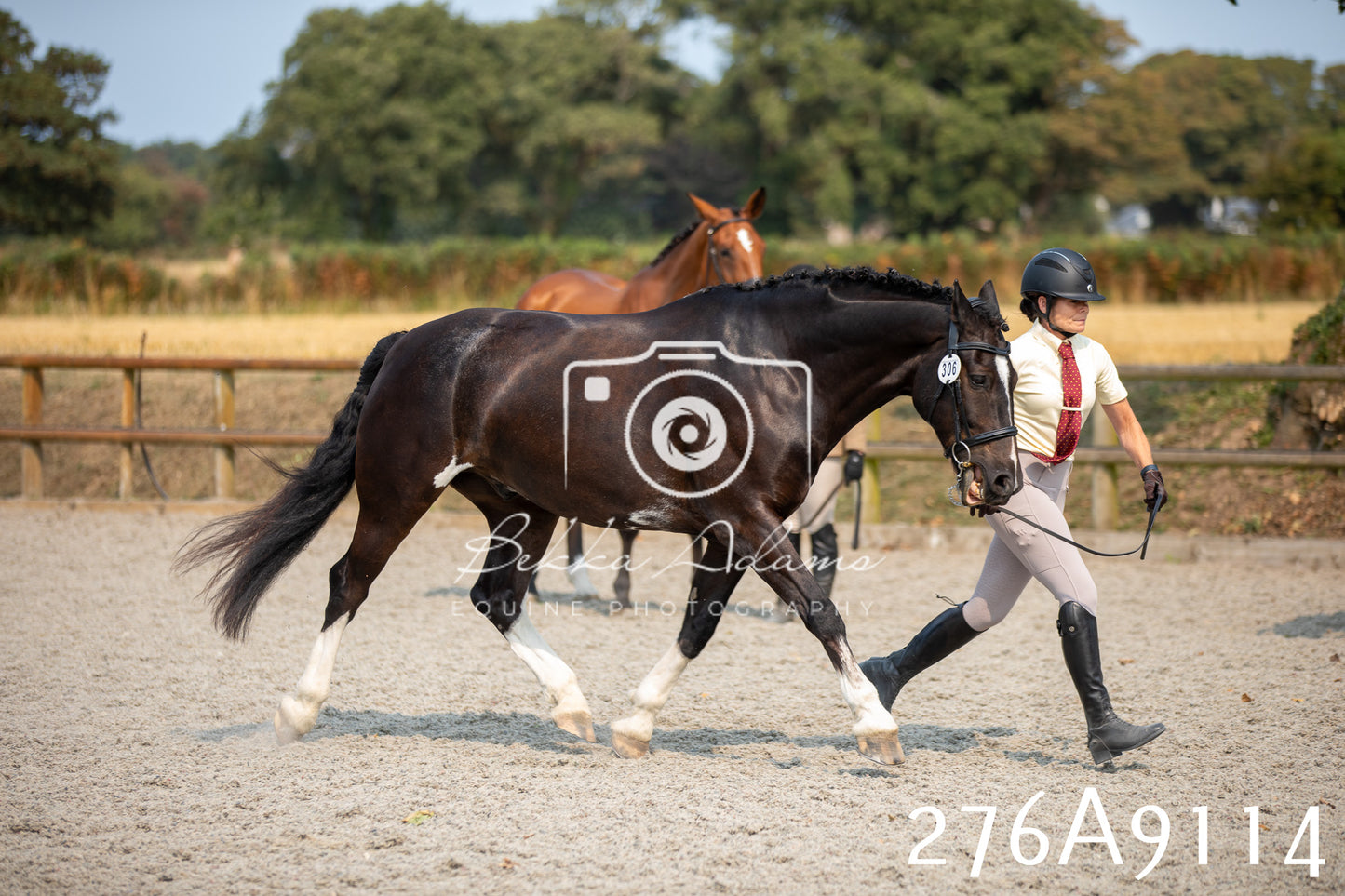 Home Farm Annual Show 2025 - Inhand Pt 1