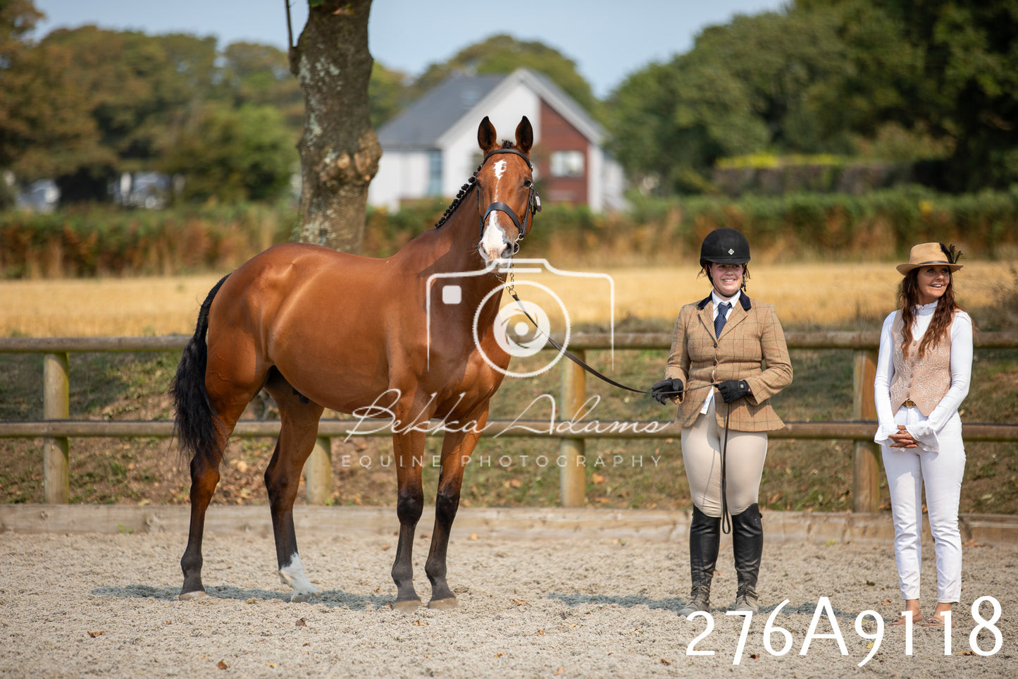 Home Farm Annual Show 2025 - Inhand Pt 1