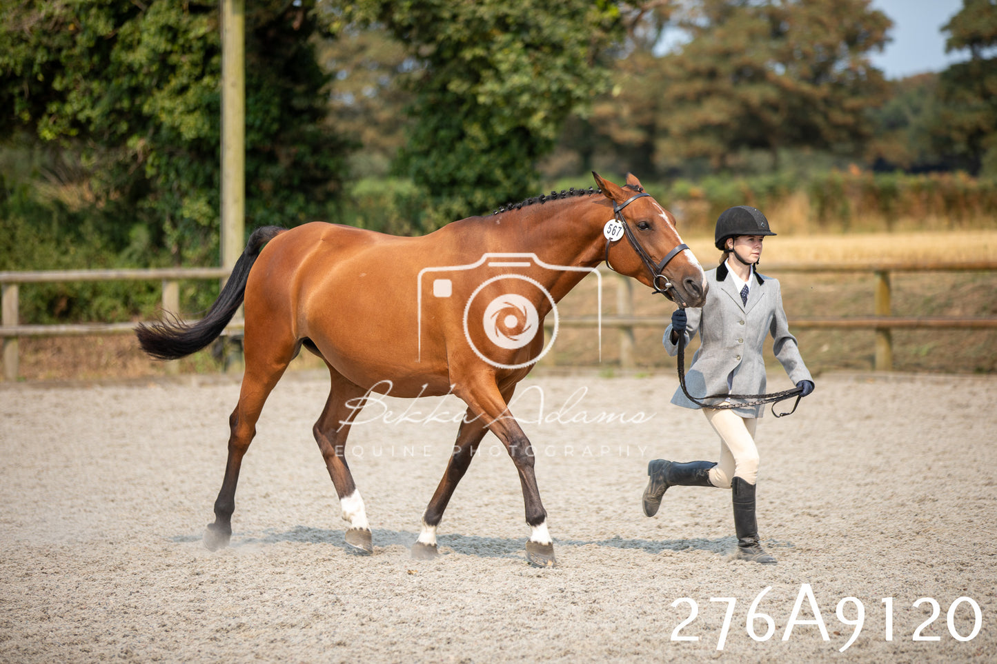 Home Farm Annual Show 2025 - Inhand Pt 1
