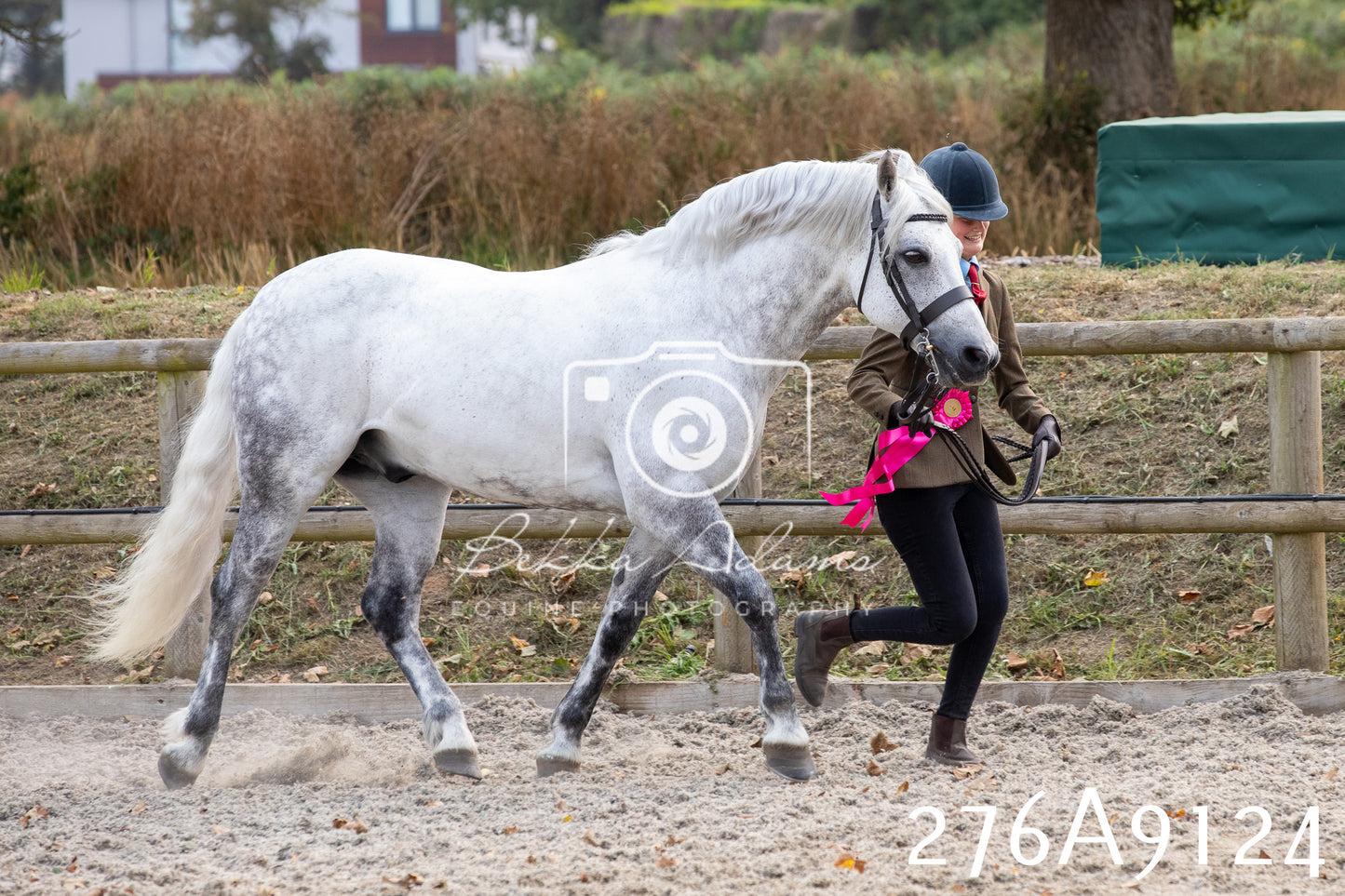 Home Farm Annual Show 2025 - Inhand Pt 1