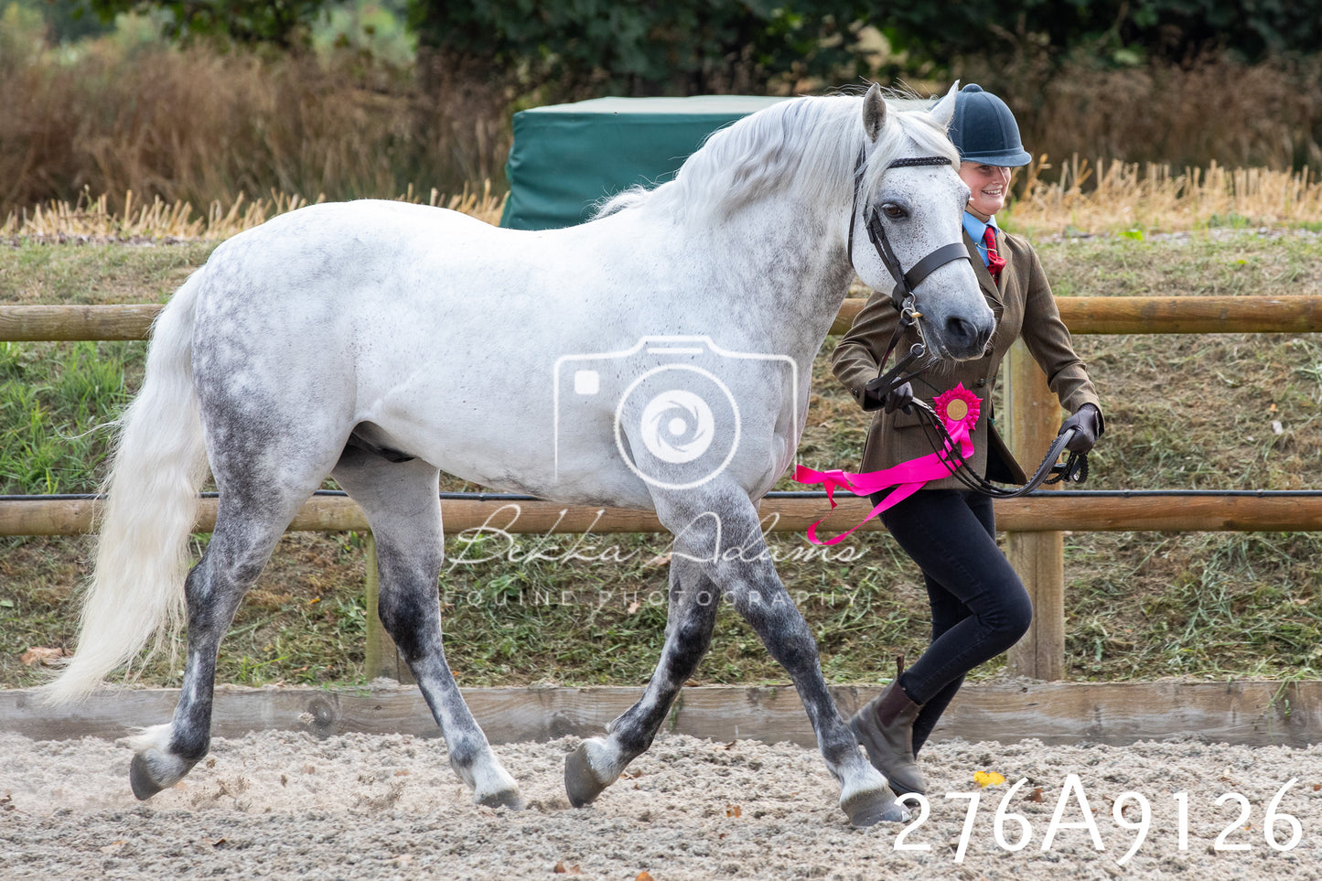 Home Farm Annual Show 2025 - Inhand Pt 1