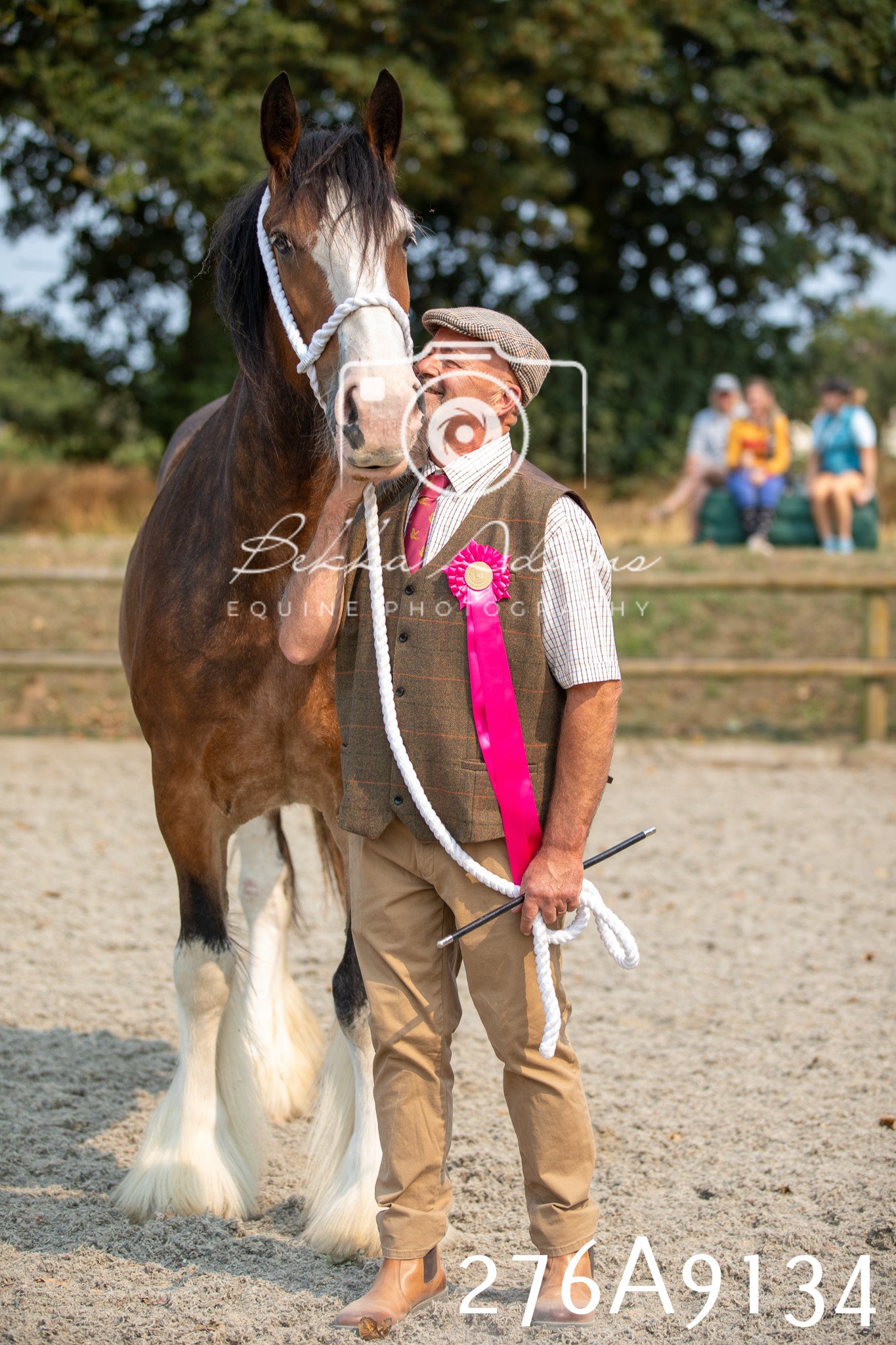 Home Farm Annual Show 2025 - Inhand Pt 1