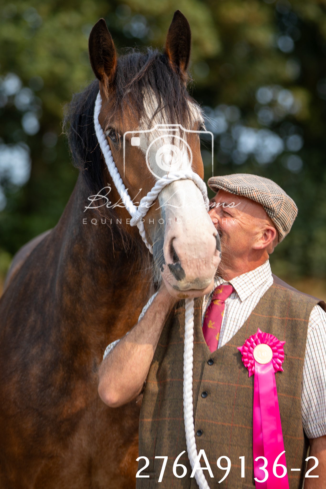 Home Farm Annual Show 2025 - Inhand Pt 1