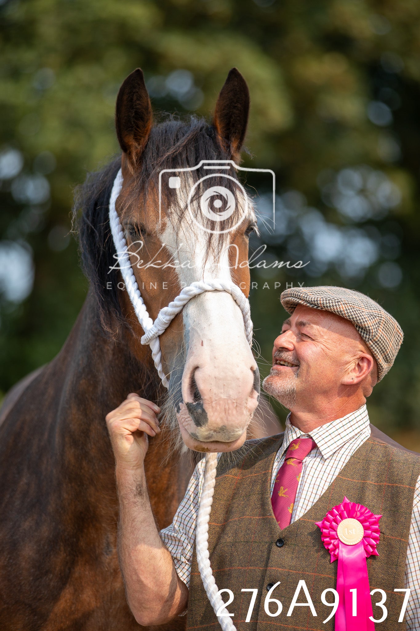 Home Farm Annual Show 2025 - Inhand Pt 1