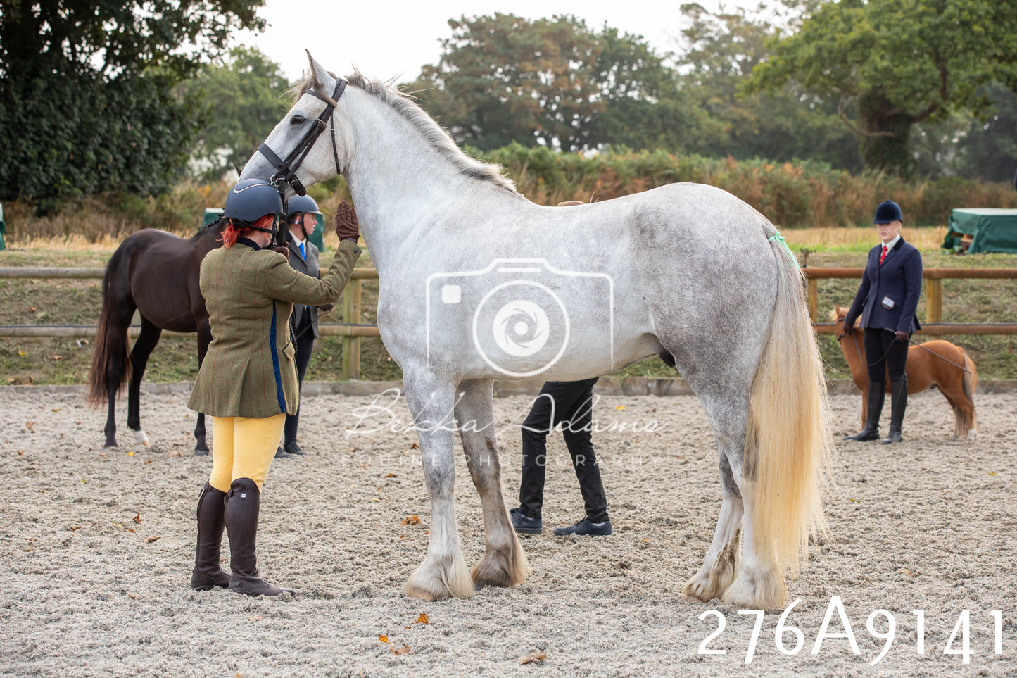 Home Farm Annual Show 2025 - Inhand Pt 1