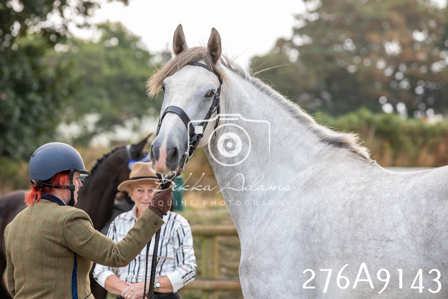 Home Farm Annual Show 2025 - Inhand Pt 1