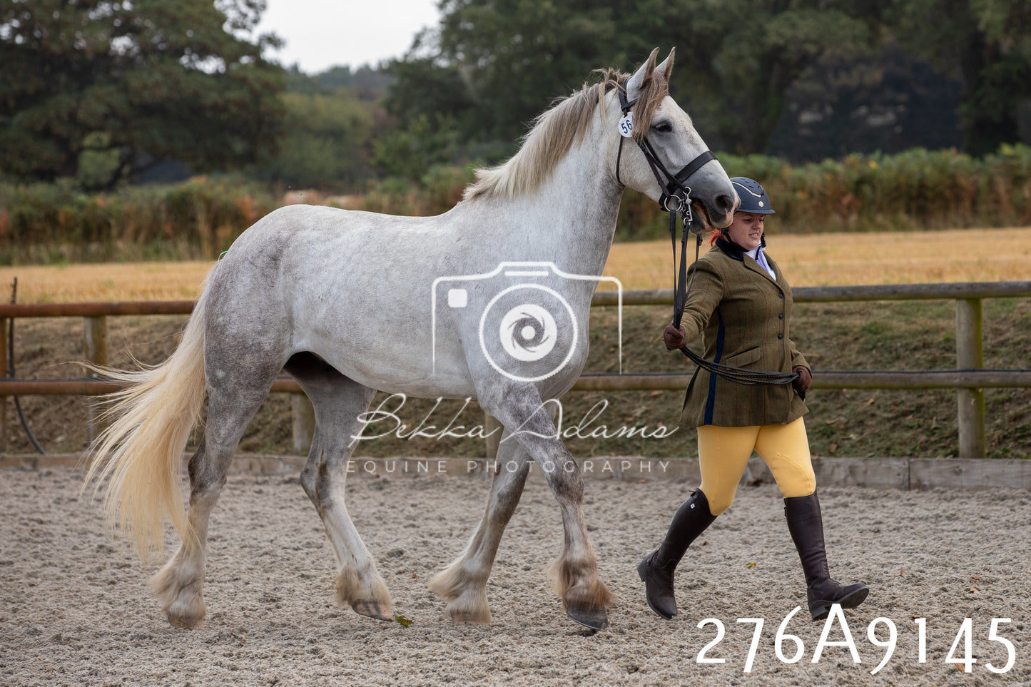 Home Farm Annual Show 2025 - Inhand Pt 1