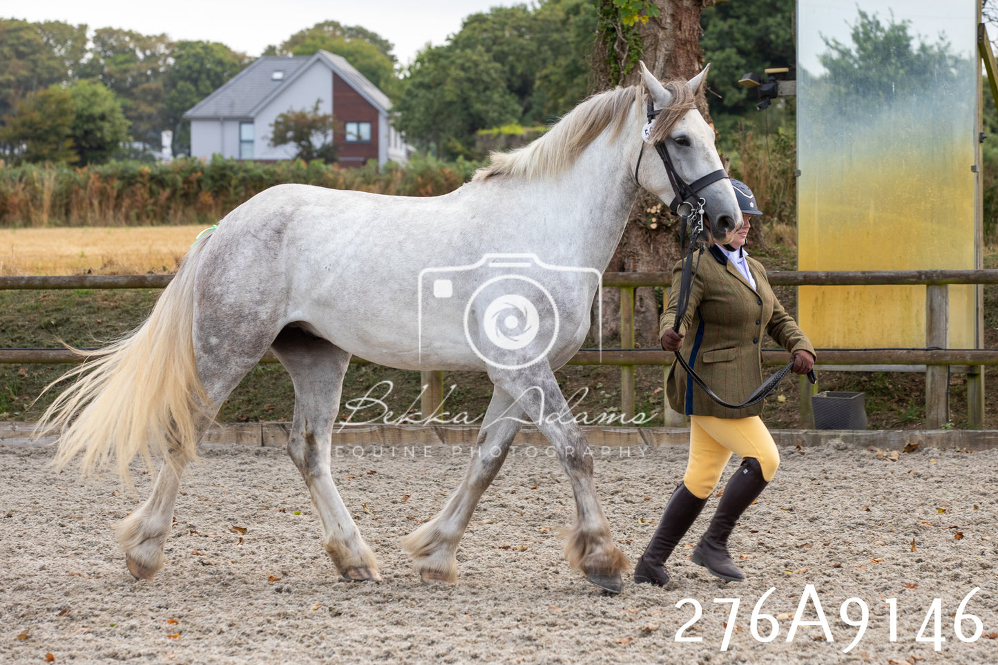 Home Farm Annual Show 2025 - Inhand Pt 1