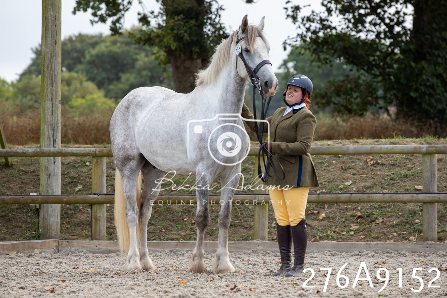Home Farm Annual Show 2025 - Inhand Pt 1