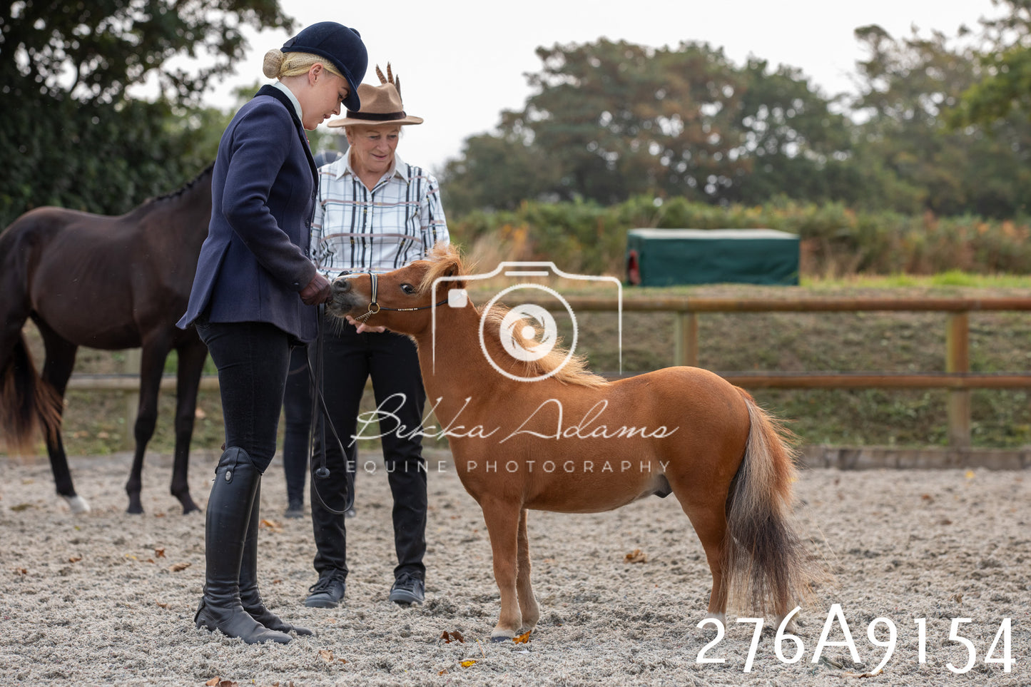 Home Farm Annual Show 2025 - Inhand Pt 1