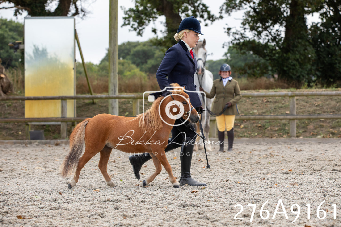 Home Farm Annual Show 2025 - Inhand Pt 1