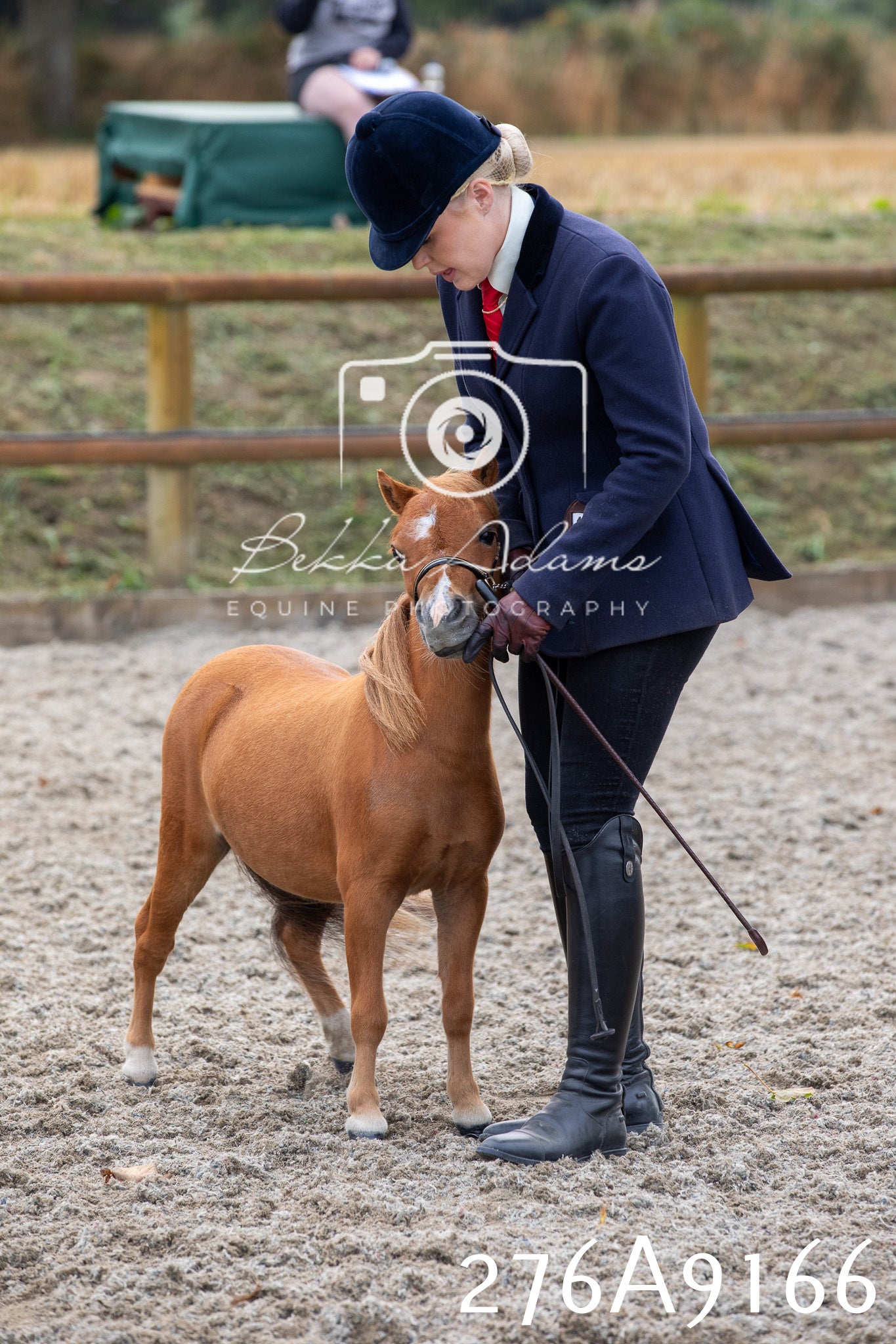 Home Farm Annual Show 2025 - Inhand Pt 1