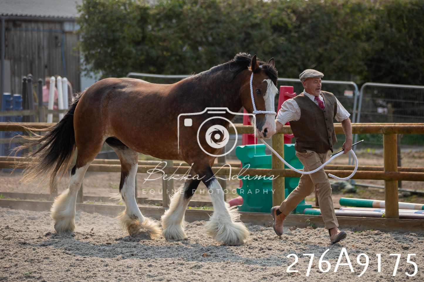 Home Farm Annual Show 2025 - Inhand Pt 1