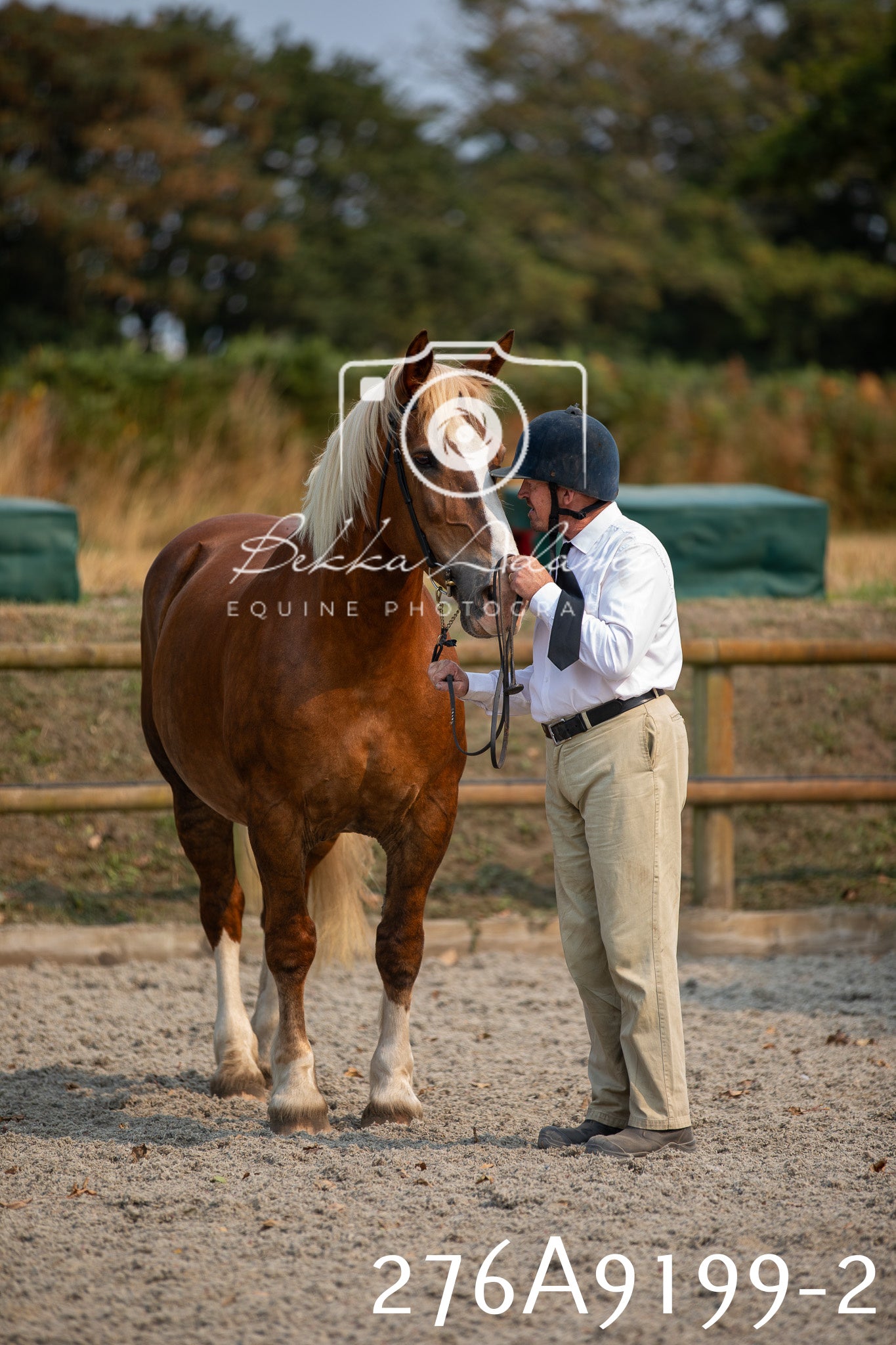 Home Farm Annual Show 2025 - Inhand Pt 1