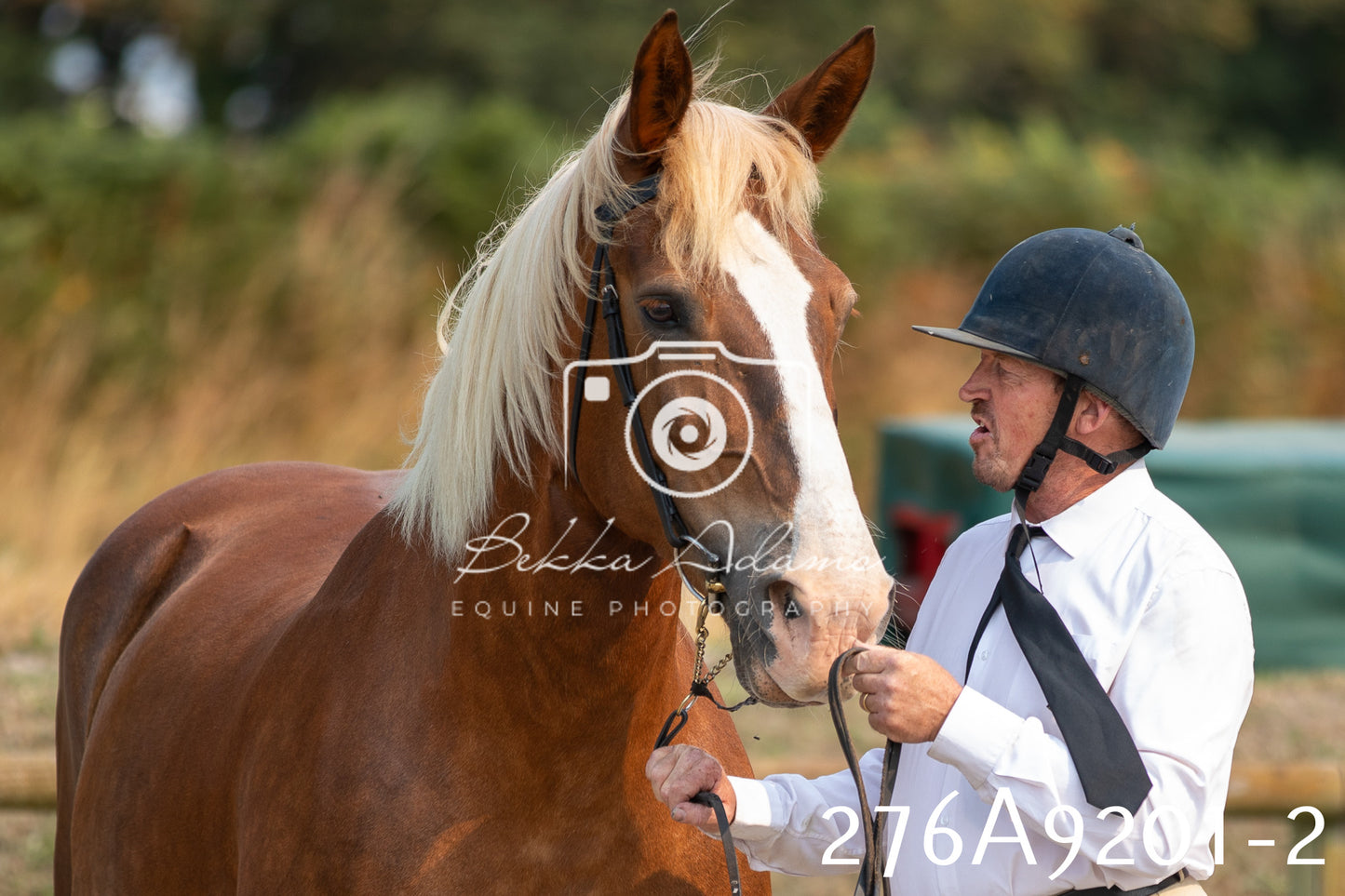 Home Farm Annual Show 2025 - Inhand Pt 1