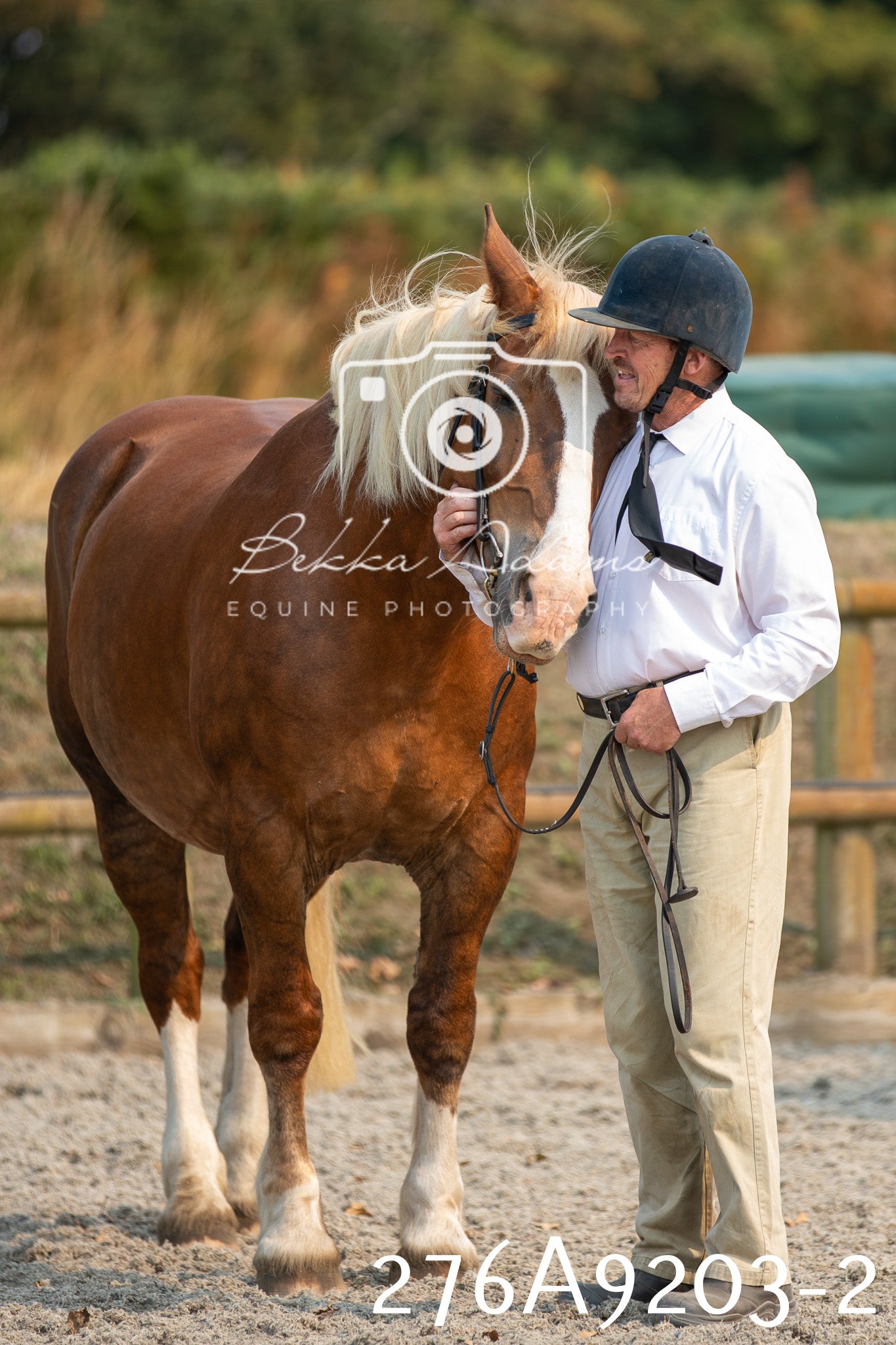 Home Farm Annual Show 2025 - Inhand Pt 1