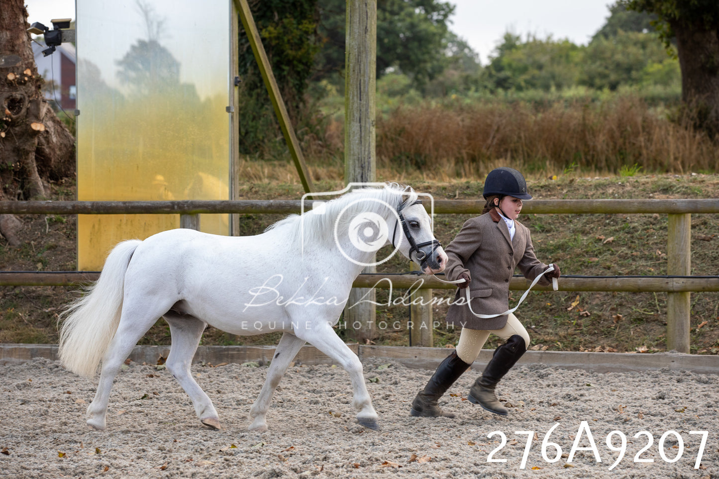 Home Farm Annual Show 2025 - Inhand Pt 1