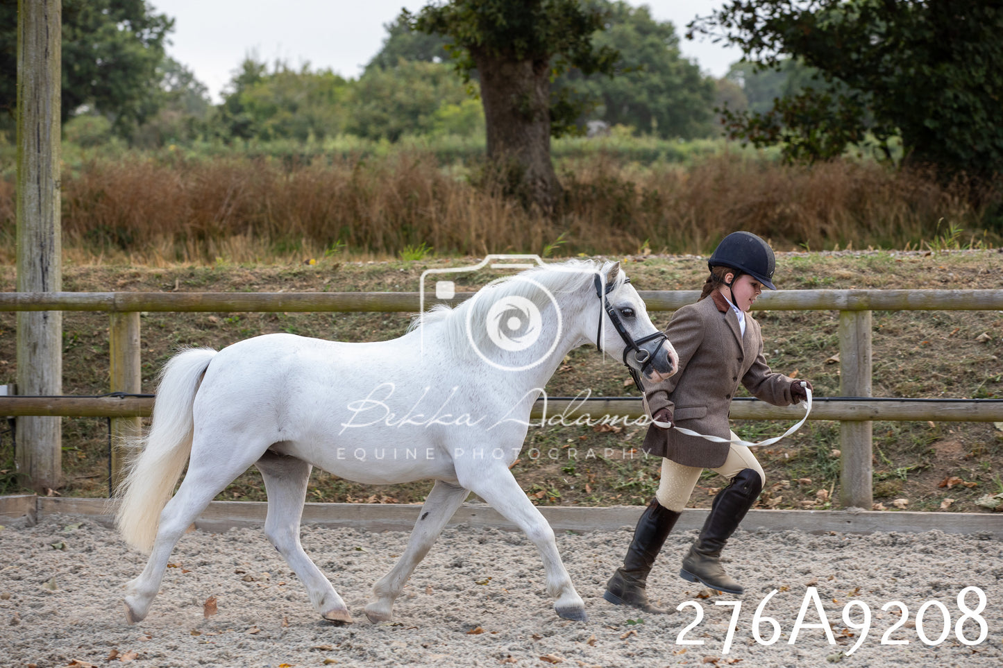 Home Farm Annual Show 2025 - Inhand Pt 1