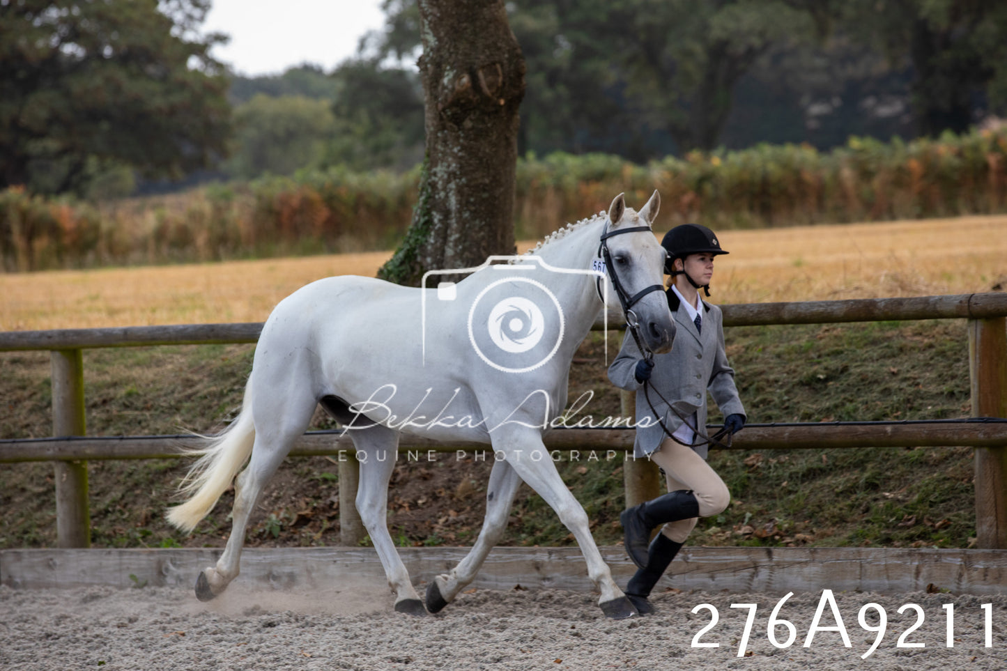Home Farm Annual Show 2025 - Inhand Pt 1