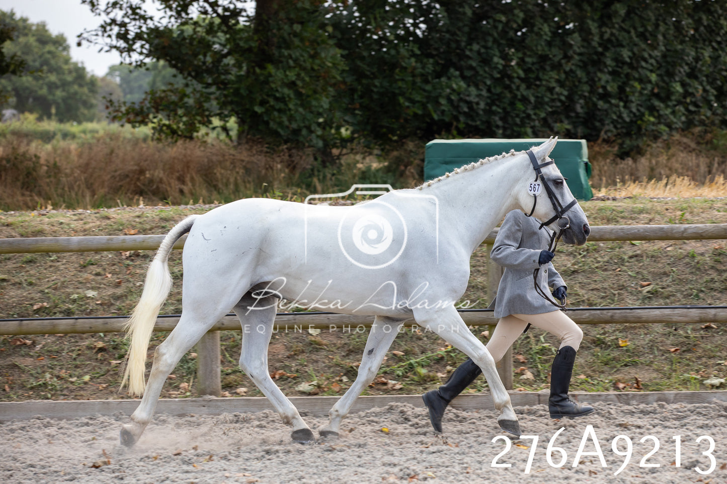 Home Farm Annual Show 2025 - Inhand Pt 1