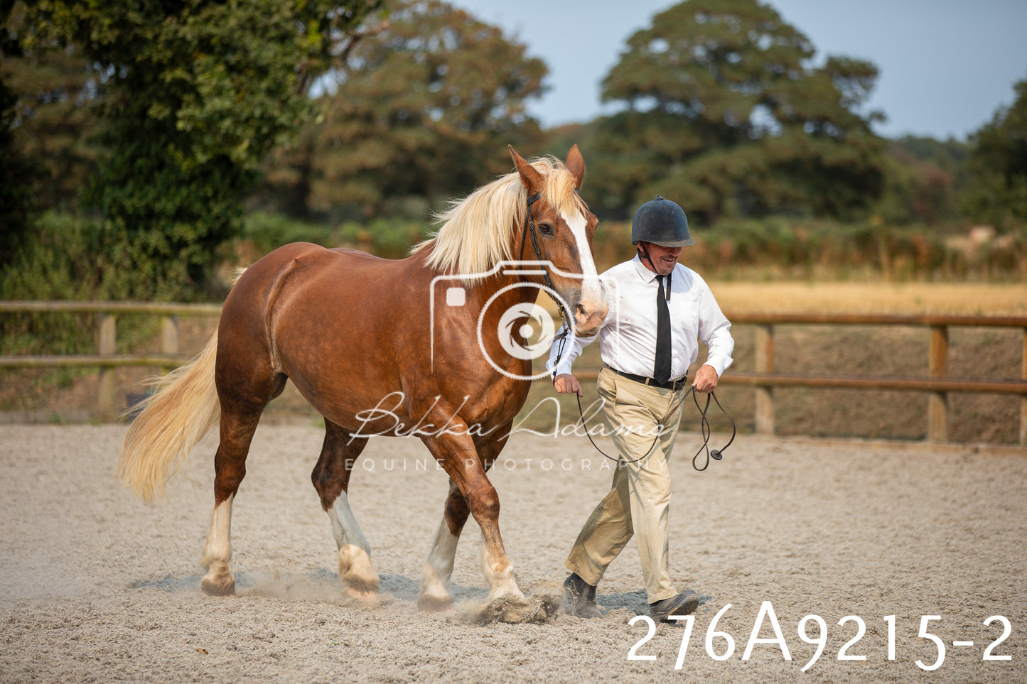 Home Farm Annual Show 2025 - Inhand Pt 1