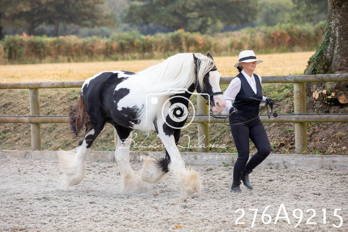 Home Farm Annual Show 2025 - Inhand Pt 1