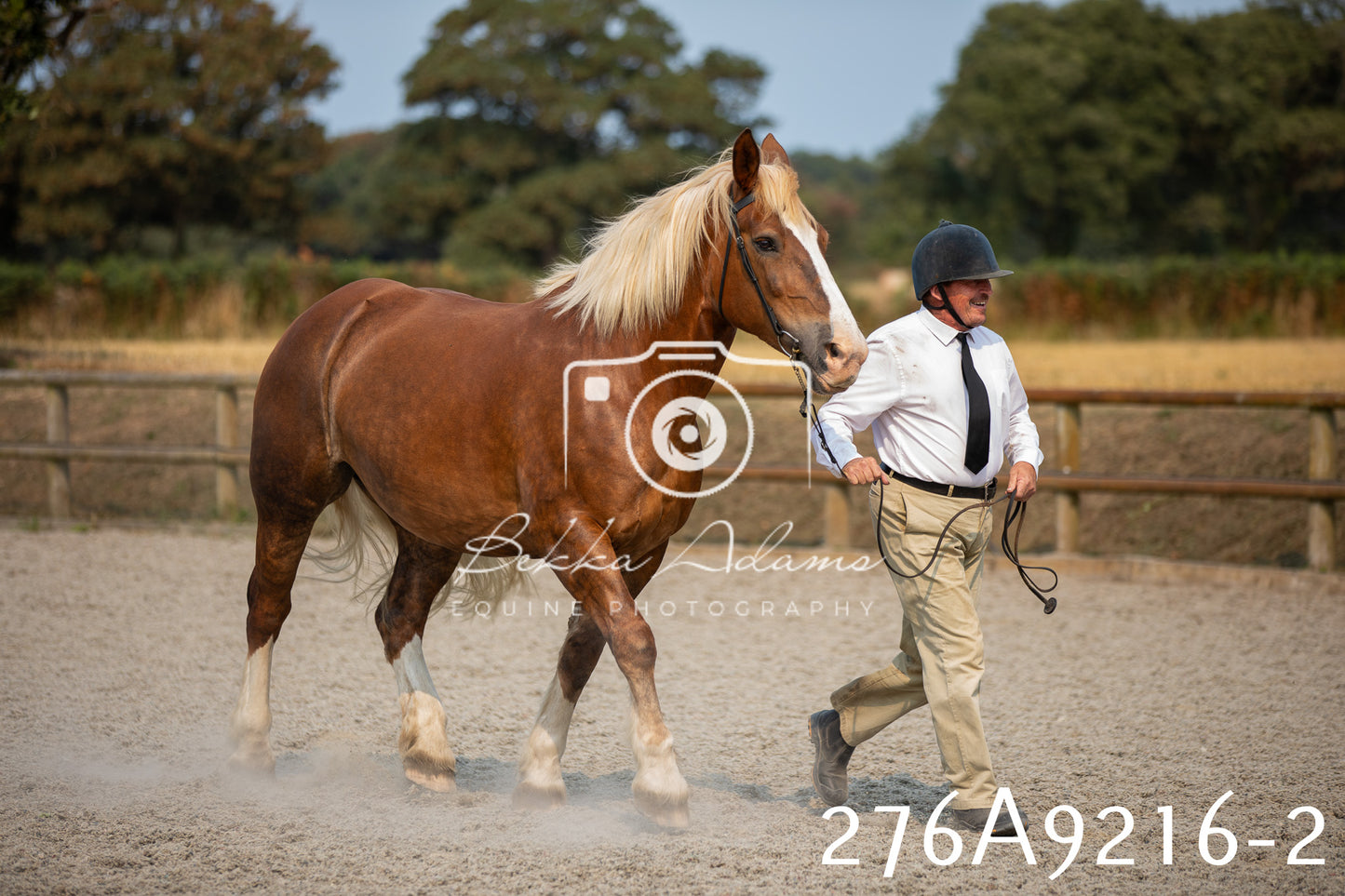 Home Farm Annual Show 2025 - Inhand Pt 1