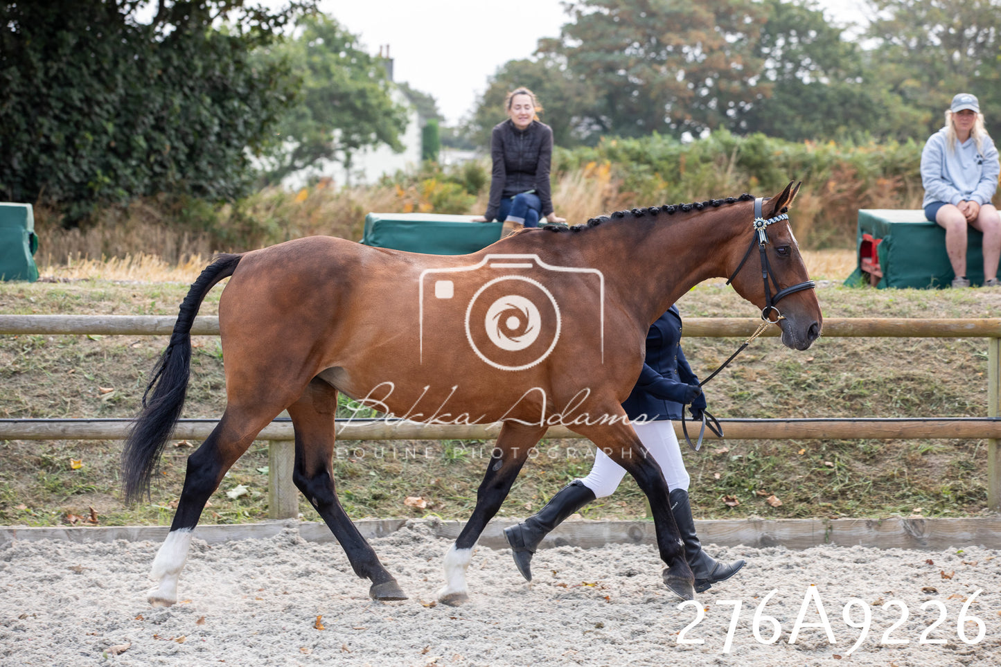 Home Farm Annual Show 2025 - Inhand Pt 1