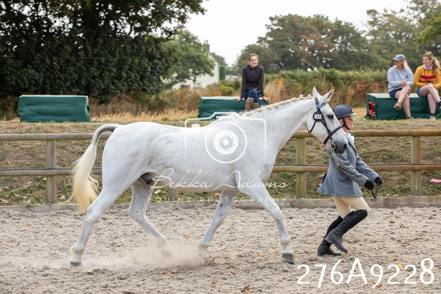 Home Farm Annual Show 2025 - Inhand Pt 1