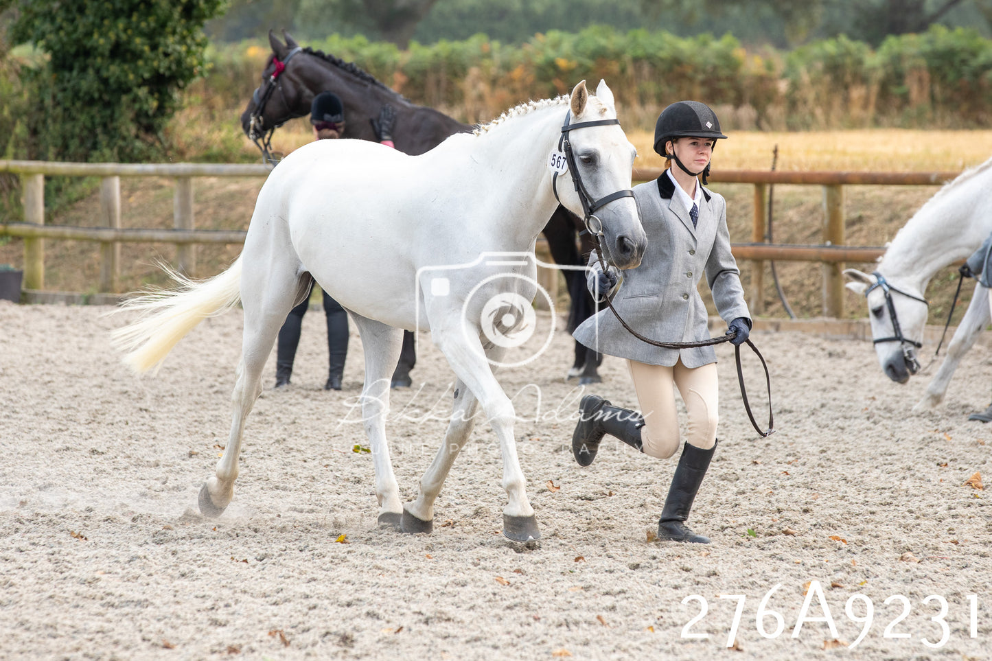 Home Farm Annual Show 2025 - Inhand Pt 1