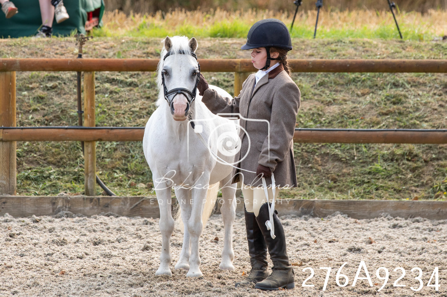 Home Farm Annual Show 2025 - Inhand Pt 1