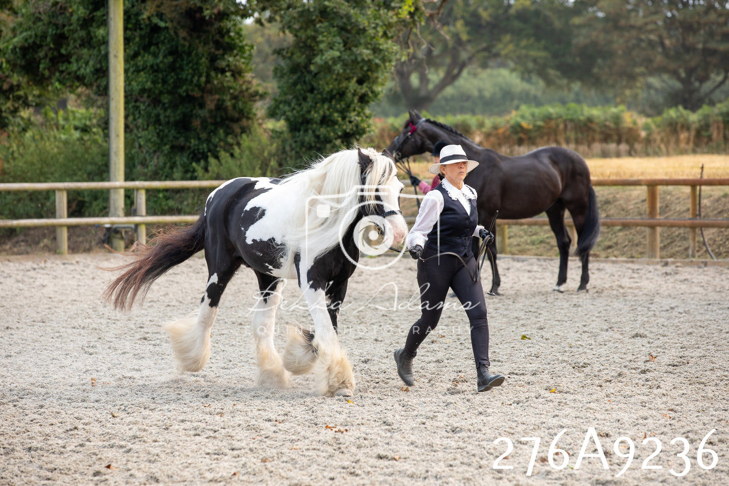 Home Farm Annual Show 2025 - Inhand Pt 1