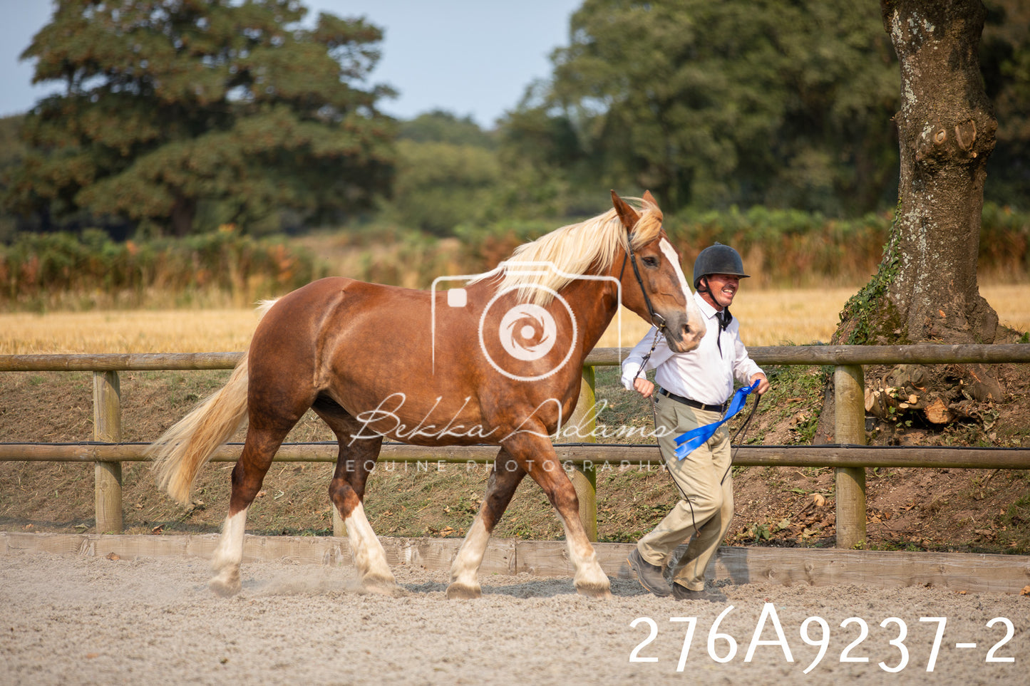 Home Farm Annual Show 2025 - Inhand Pt 1
