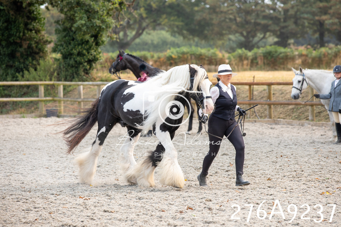 Home Farm Annual Show 2025 - Inhand Pt 1
