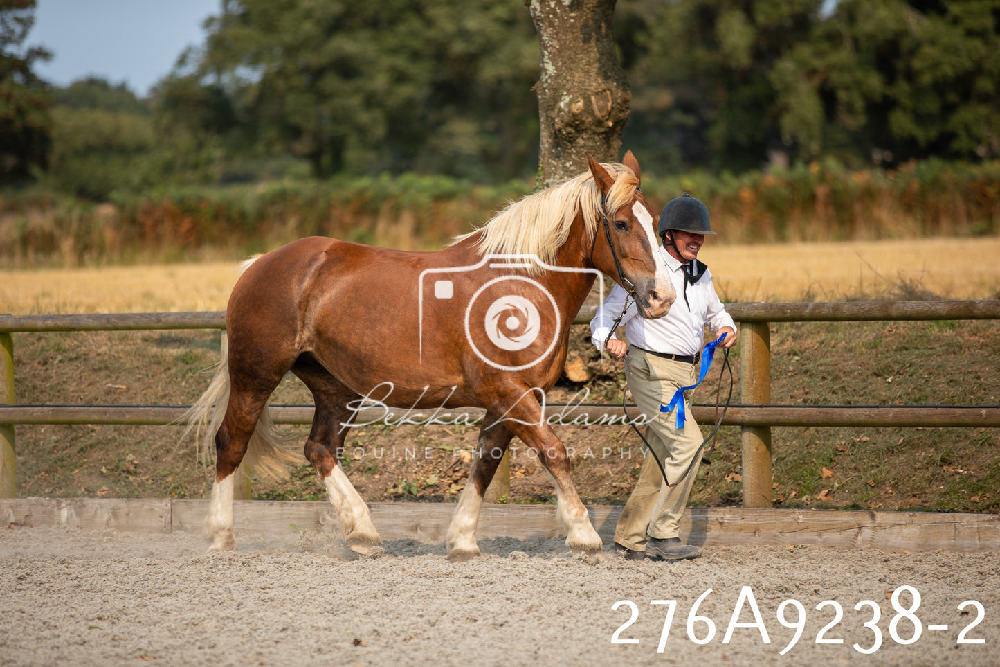 Home Farm Annual Show 2025 - Inhand Pt 1