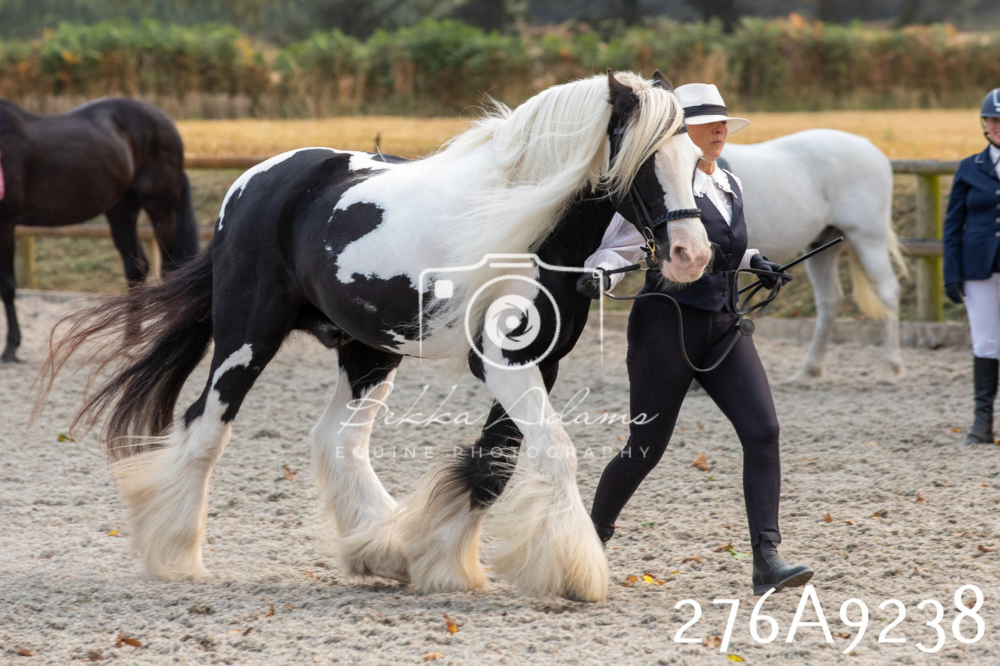 Home Farm Annual Show 2025 - Inhand Pt 1
